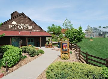 nebraska/nebraska-national-forest/attraction/tree-adventure