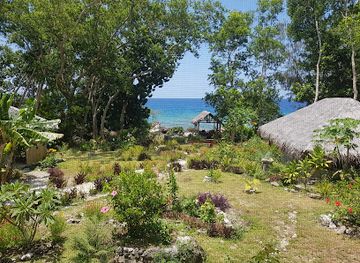 vanuatu/efate/attraction/roawia-turtle-and-snorkelling-tours-vanuatu