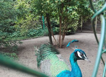poland/olsztyn/attraction/aviary-birds-park