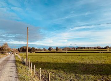 new-zealand/hamilton/attraction/barrett-bush-scenic-reserve