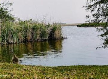 netherlands/amsterdam/attraction/natuurbelevingcentrum-de-oostvaarders