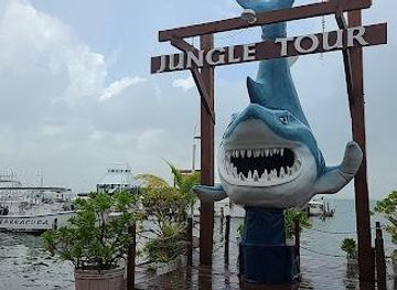 mexico/cancun/attraction/jungle-tour-barracuda