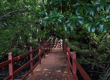 palau/jellyfish-lake/attraction/ngerbau