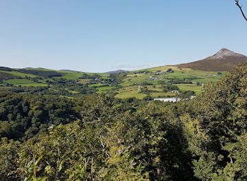 ireland/county-wicklow/attraction/glen-of-the-downs-nature-trail