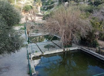 israel/haifa-district/attraction/bustan-khayat