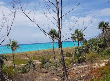 the-bahamas/bimini-islands/attraction/the-bimini-nature-trail