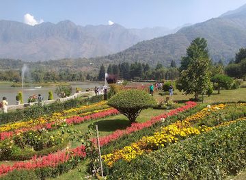 india/kashmir-valley/attraction/tulip-garden-srinagar
