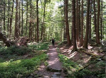 vermont/smugglers-notch-state-park/attraction/wiessner-woods