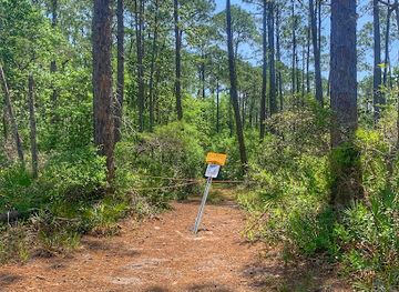 alabama/alabama-coastal-birding-trail/attraction/centennial-trail