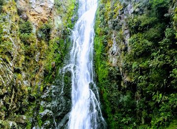 dominican-republic/sierra-de-neiba/attraction/parque-nacional-valle-nuevo