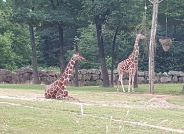 germany/nuremberg/attraction/nurnberg-zoo