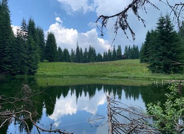 romania/bistrita-nasaud/attraction/taul-zanelor