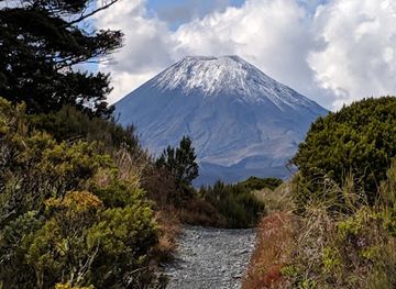 new-zealand/tongariro-national-park/attraction/ridge-walking-track