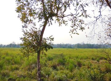 india/kaziranga-national-park/attraction/watch-tower-rajapukhuri-camp