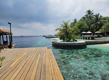 maldives/dhangethi-island/attraction/jetty-point-shark-feeding