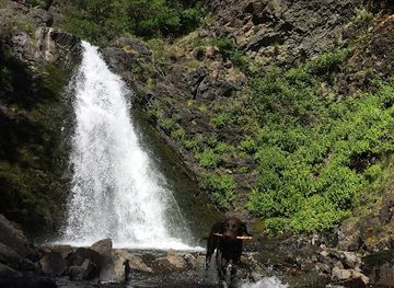 Dog Creek Falls