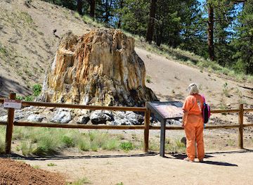 colorado/monument/attraction/florissant-fossil-beds-national-monument