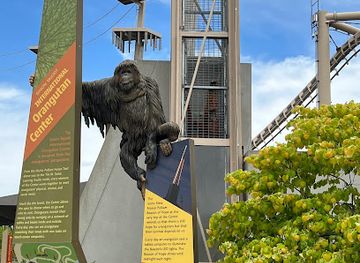 indiana/indianapolis/attraction/simon-skjodt-international-orangutan-center