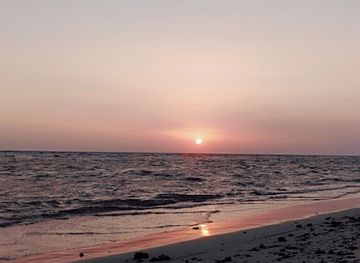 egypt/mount-sinai/attraction/al-shati-al-am-btor-sinai