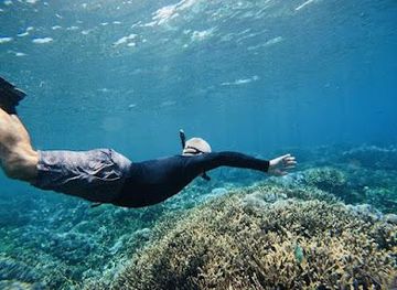 indonesia/bali/attraction/the-wall-snorkeling-place