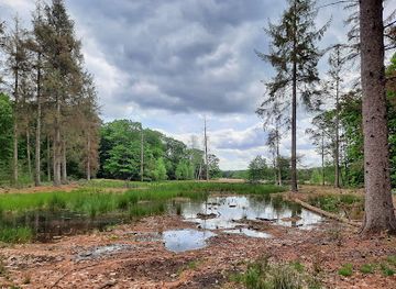 netherlands/drenthe/attraction/boswachterij-grolloo