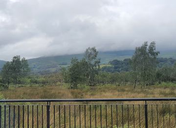 united-kingdom/dyfed/attraction/dyfi-osprey-project