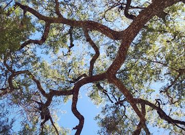 zambia/lake-kariba/attraction/kalomo