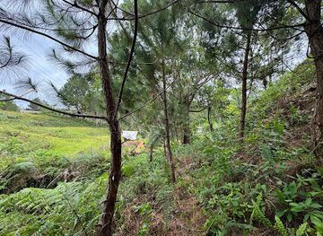 philippines/mindanao/attraction/the-secret-garden-buda