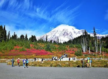 washington/mount-rainier-national-park/attraction/paradise