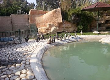 israel/acre/attraction/hai-park-kiryat-motzkin