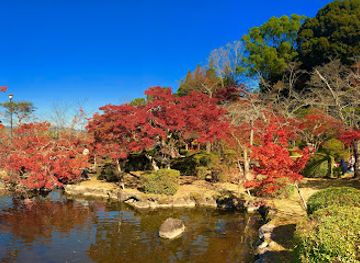 japan/chikugo/attraction/seikei-park