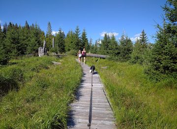 czechia/sumava-national-park/attraction/cikanska-slat