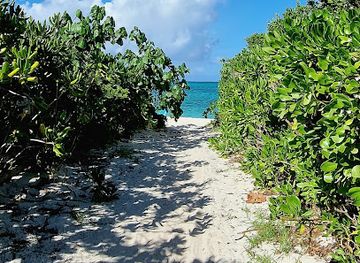 turks-and-caicos-islands/turtle-cove-marina/attraction/public-beach-access