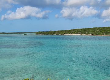 the-bahamas/eleuthera-island/attraction/zi-s-turtle-watch