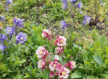 france/lyon/attraction/pl-tolozan