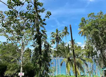 Monfort Bat Sanctuary