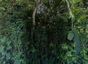 indonesia/tana-toraja/attraction/tongkonan-kondongan