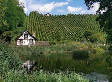 switzerland/thurgau/attraction/ittinger-museum