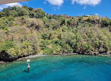 saint-vincent-and-the-grenadines/tobago-cays-marine-park/attraction/cruise-pirs-kingstown