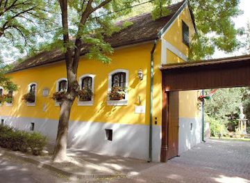 hungary/kecskemet/attraction/kecskemet-varos-bozso-gyujtemeny-alapitvany