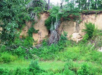 mississippi/the-river-region/attraction/loess-bluff