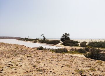 cabo-verde/praia-do-curral-velho/attraction/salinas-de-curral-velho