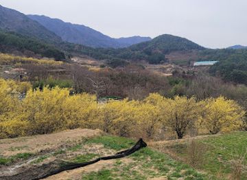 south-korea/jirisan-national-park/attraction/gurye-sansuyu