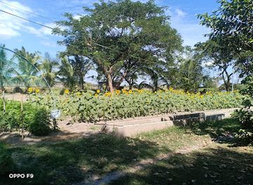 philippines/angeles-city/attraction/tpki-li-and-nature-s-farm