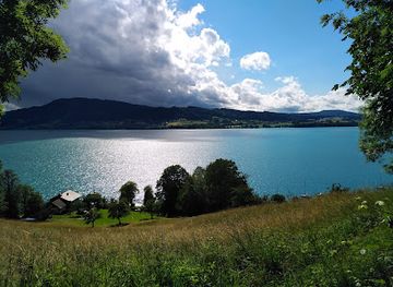 austria/salzkammergut/attraction/see-alpaka-gehege