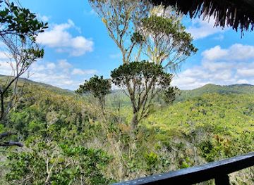 madagascar/atsinanana/attraction/eulophia-trail