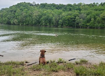 kentucky/outer-bluegrass/attraction/pulaski-county-park