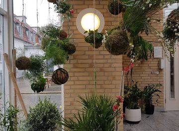 denmark/mols-bjerge/attraction/safis-kokedameri