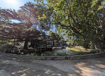 france/avignon/attraction/cadran-humain