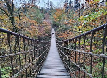 germany/hunsruck/attraction/hangebrucke-im-binger-wald
